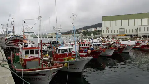Pesqueros puerto de Burela Pesqueros puerto de Burela