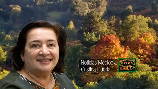 Noticias mediodía Asturias 14.20 13/05/2022 Noticias mediodía Asturias 14.20 13/05/2022