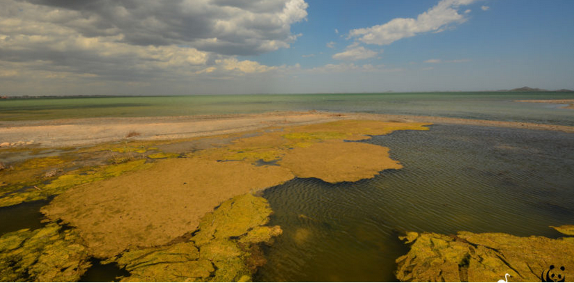 "Estamos ante la peor legislatura de los últimos 30 años en materia medioambiental para la región de Murcia" "Estamos ante la peor legislatura de los últimos 30 años en materia medioambiental para la región de Murcia"