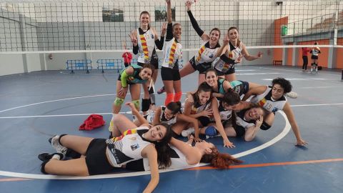 Voley
