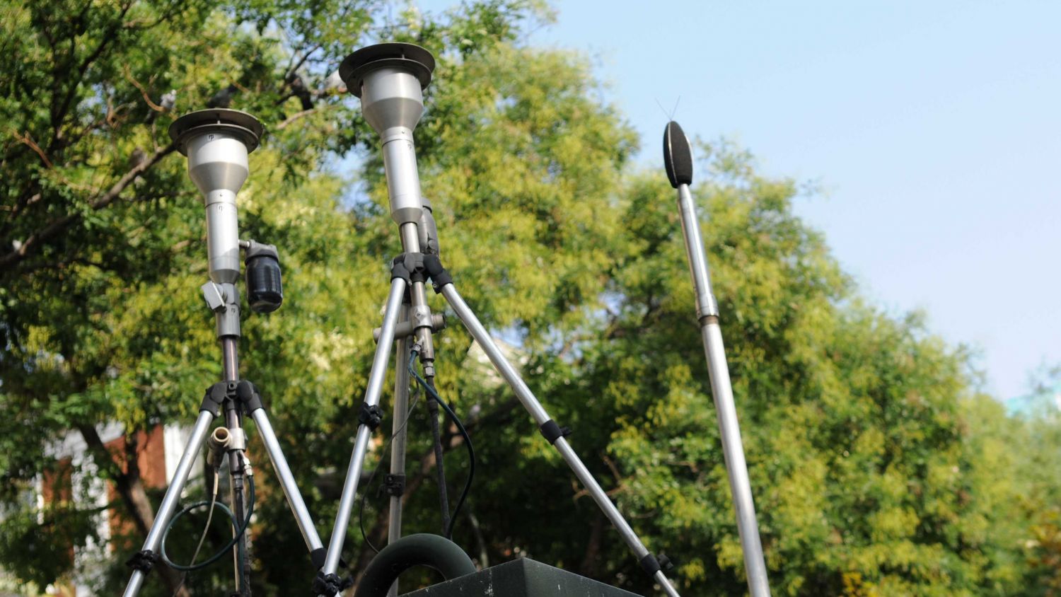 Cort triplica las sanciones por exceso de ruido en 2020 Cort triplica las sanciones por exceso de ruido en 2020