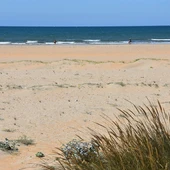 Punta Umbría contará con un paseo por la playa paralelo al mar Punta Umbría contará con un paseo por la playa paralelo al mar