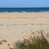 Playa de Punta Umbría- La Canaleta Playa de Punta Umbría- La Canaleta