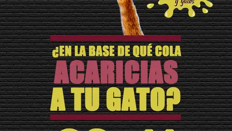 No Solo Perros y Gatos T02P11 No Solo Perros y Gatos T02P11