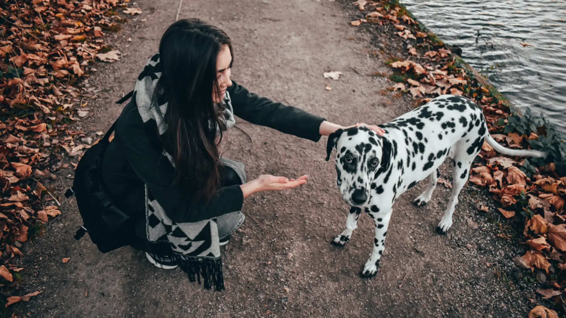 mujer con un perro mujer con un perro