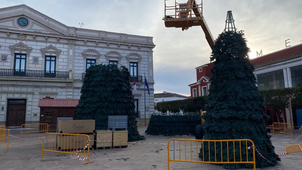 Árbol de navidad en la plaza del ayuntamiento Árbol de navidad en la plaza del ayuntamiento