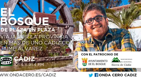 Más de Uno El BOSQUE Más de Uno El BOSQUE