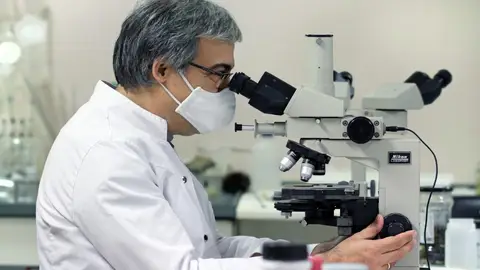 Pedro Sánchez Falta de investigación