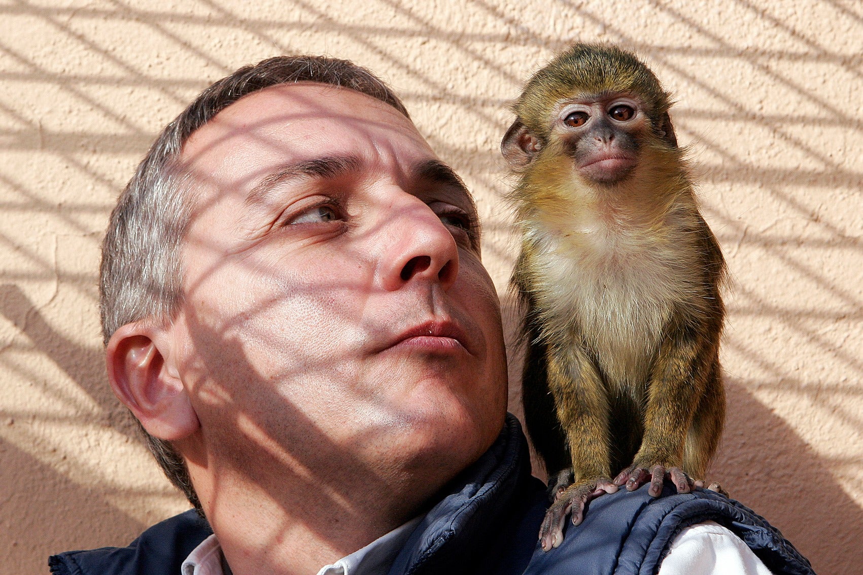 Raúl Mérida nos acerca a las novedades del catálogo de especies invasoras y en peligro de extinción Raúl Mérida nos acerca a las novedades del catálogo de especies invasoras y en peligro de extinción