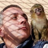 Especies invasoras