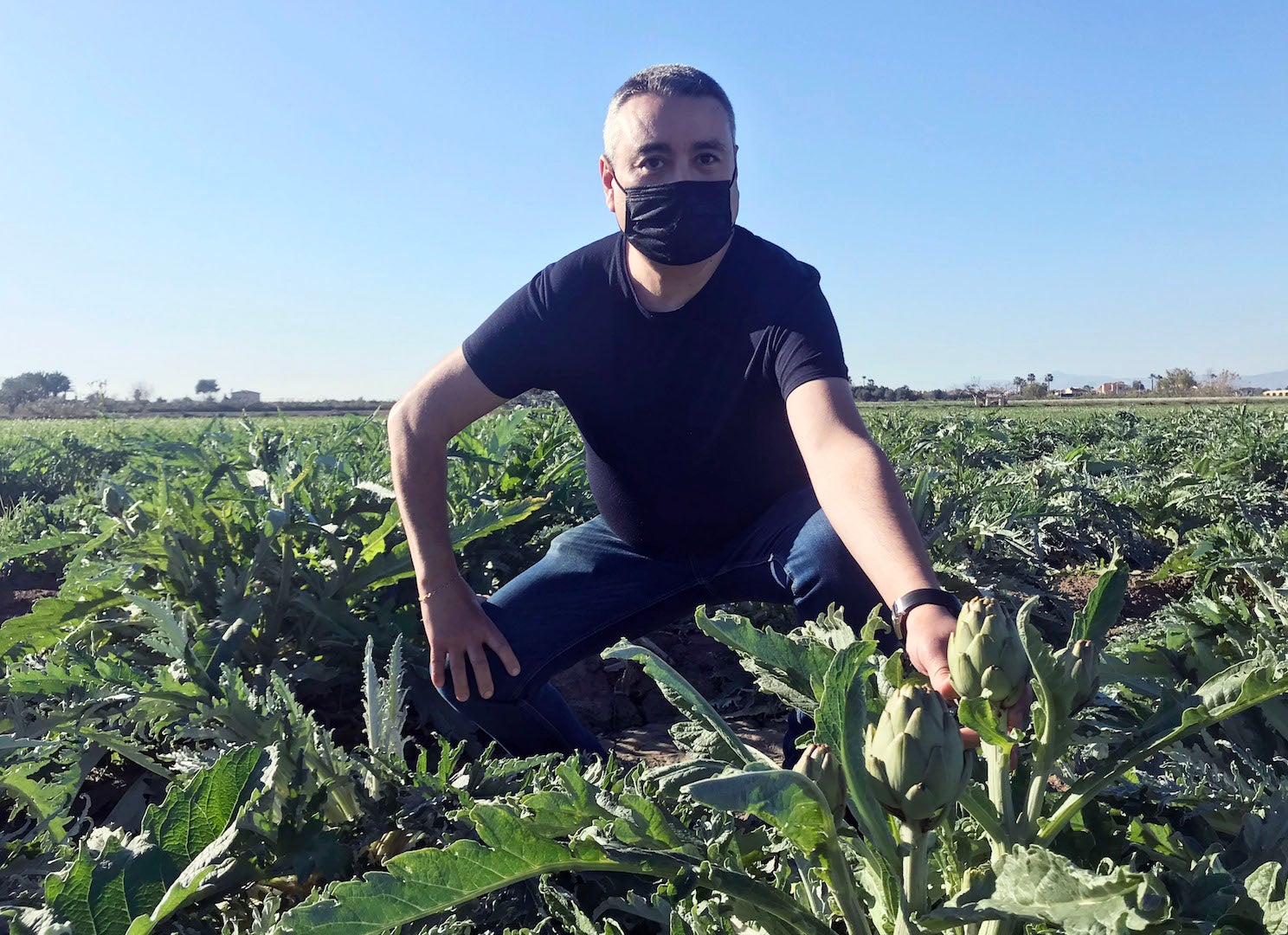 El chef José Luis Cases inaugura la campaña de la Alcachofa de la Vega Baja El chef José Luis Cases inaugura la campaña de la Alcachofa de la Vega Baja