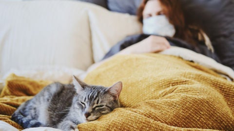 Gato en la cama