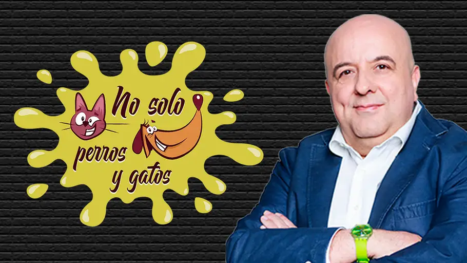 No Solo Perros y Gatos T02P09 No Solo Perros y Gatos T02P09