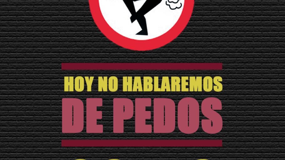 No Solo Perros y Gatos T02P10