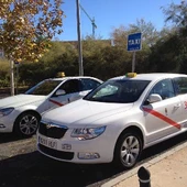 Los taxistas piden ayudas directas a la Junta de Comunidades Los taxistas piden ayudas directas a la Junta de Comunidades