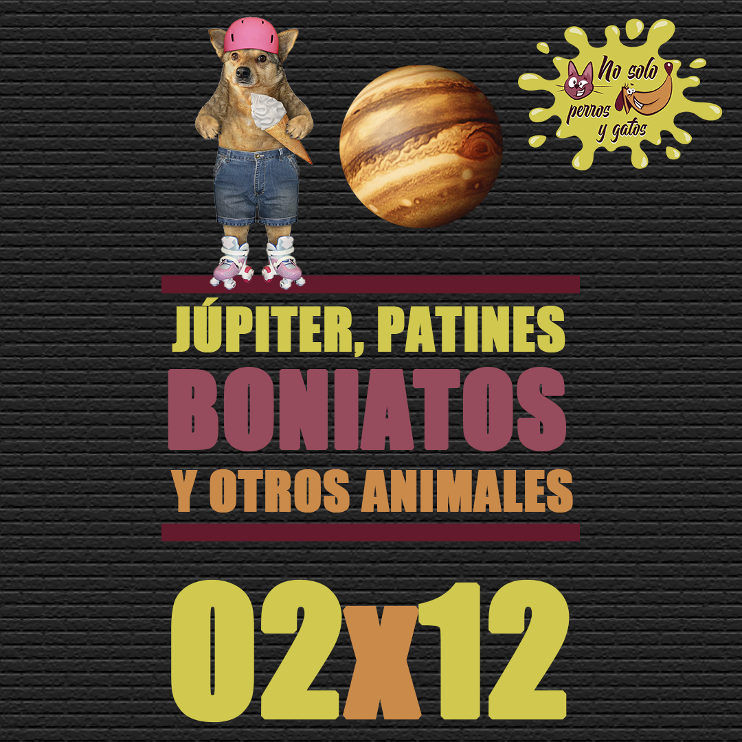 No Solo Perros y Gatos T02P12 | Júpiter, patines, boniatos y otros animales No Solo Perros y Gatos T02P12 | Júpiter, patines, boniatos y otros animales