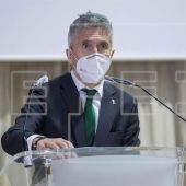 Marlasca niega que se estén trasladando inmigrantes irregulares desde Canarias a la península