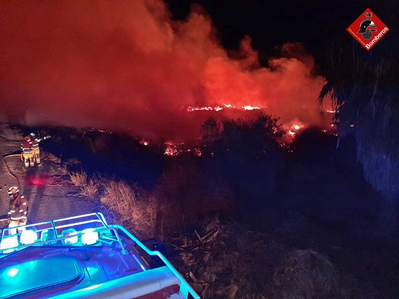 Un incendio calcina tres hectáreas de un vivero de palmeras en el entorno de El Hondo Un incendio calcina tres hectáreas de un vivero de palmeras en el entorno de El Hondo