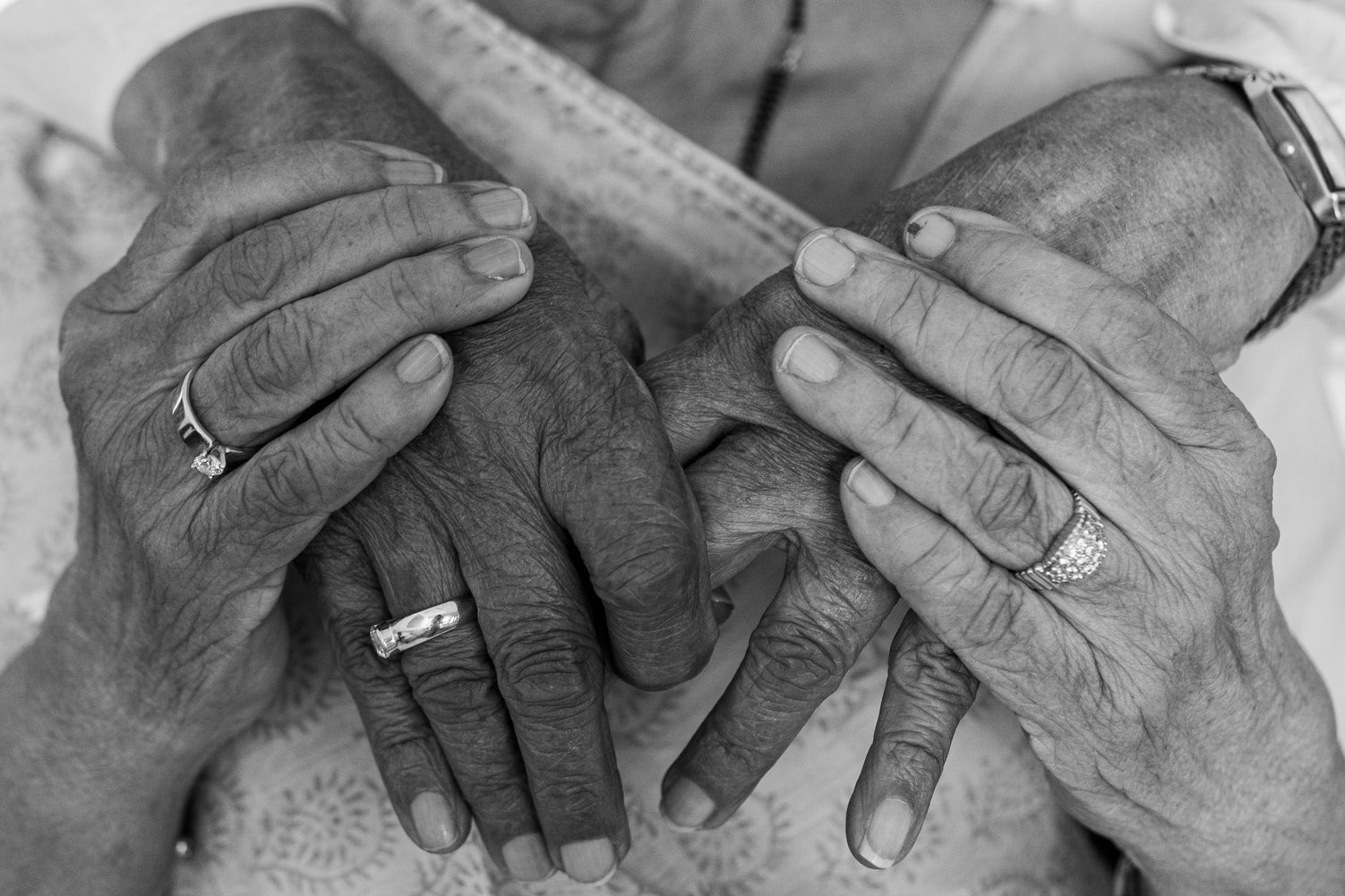 El Ayuntamiento de València renueva los servicios de comida a domicilio y atención domiciliaria a las personas mayores El Ayuntamiento de València renueva los servicios de comida a domicilio y atención domiciliaria a las personas mayores