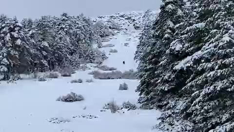 ¿Punto de nieve en La Mogorrita (Cuenca)? ¿Punto de nieve en La Mogorrita (Cuenca)?