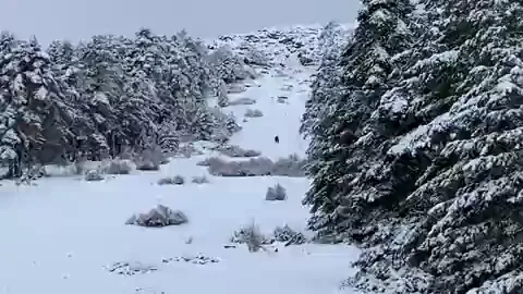¿Punto de nieve en La Mogorrita (Cuenca)? ¿Punto de nieve en La Mogorrita (Cuenca)?