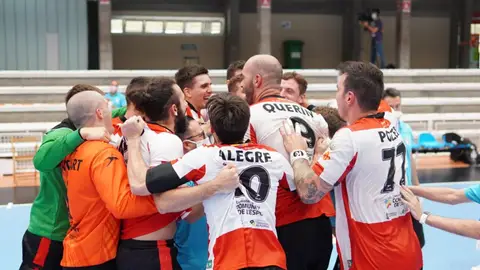 Balonmano Nava Segovia