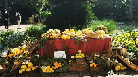 Más de Uno Córdoba Más de Uno Córdoba