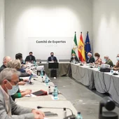 El comité de expertos reunido en Sevilla El comité de expertos reunido en Sevilla