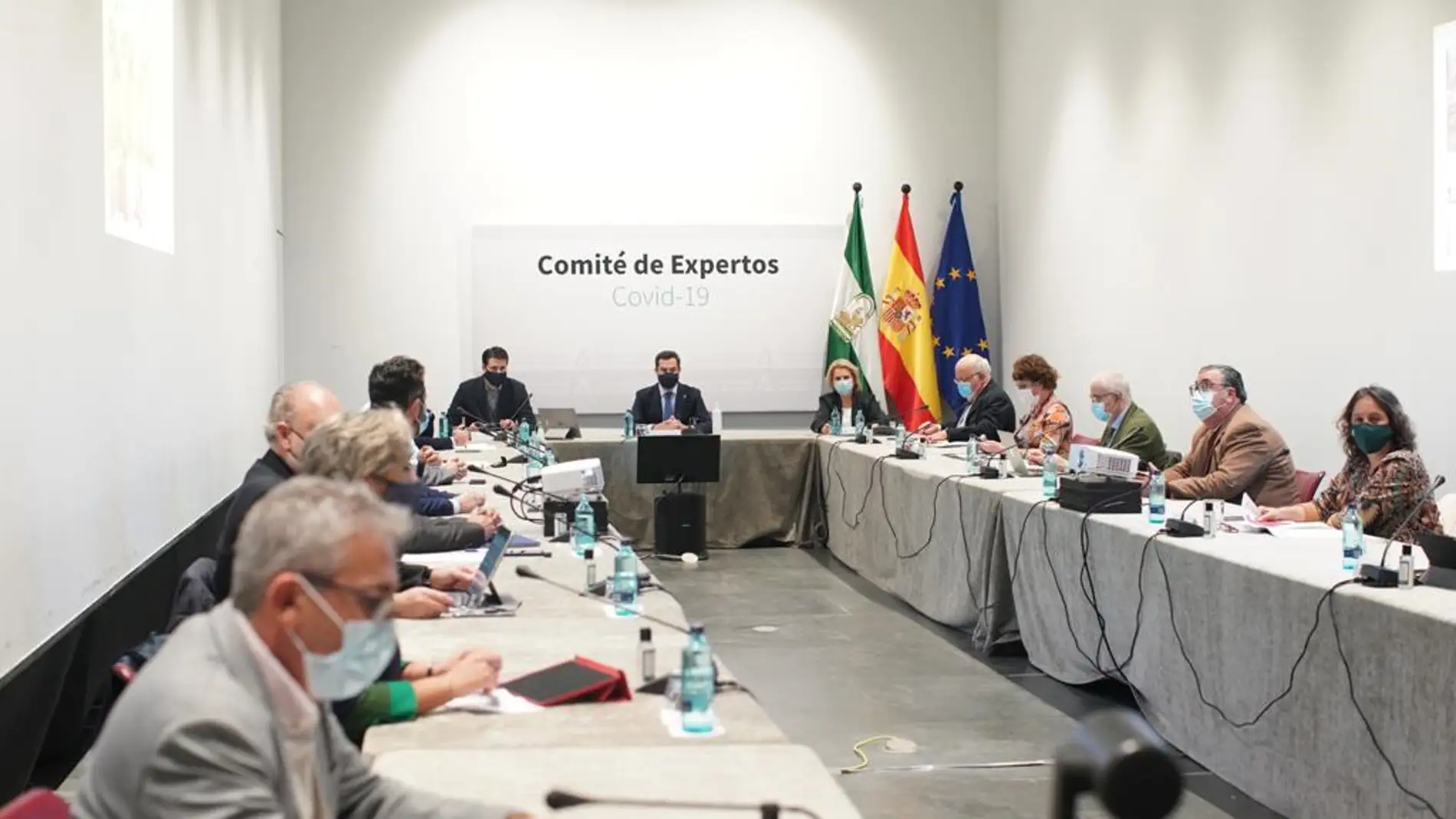 El comité de expertos reunido en Sevilla