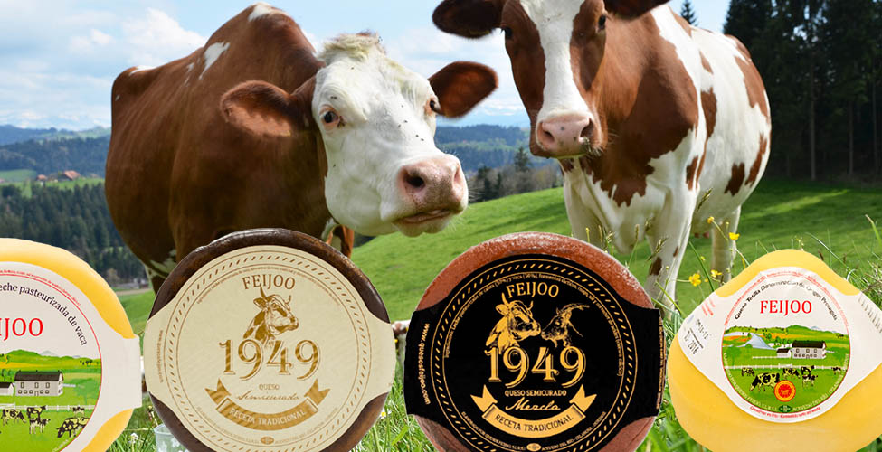 Os premiados Quesos Feijoo en Se nos va la olla Os premiados Quesos Feijoo en Se nos va la olla