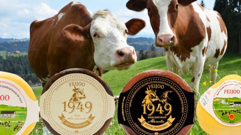 Quesos Feijoo