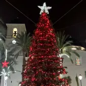 Joaquín Hernández, Alcalde de Dolores nos habla de los eventos navideños y manda un mensaje para no relajarnos con el Covid Joaquín Hernández, Alcalde de Dolores nos habla de los eventos navideños y manda un mensaje para no relajarnos con el Covid