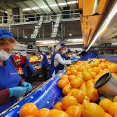 Los almacenes de naranja convocan huelga por sus horarios 