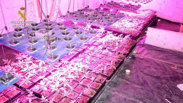 Golpe al cultivo de marihuana: nueve detenidos en Las Valeras y Villaverde y Pasaconsol Golpe al cultivo de marihuana: nueve detenidos en Las Valeras y Villaverde y Pasaconsol