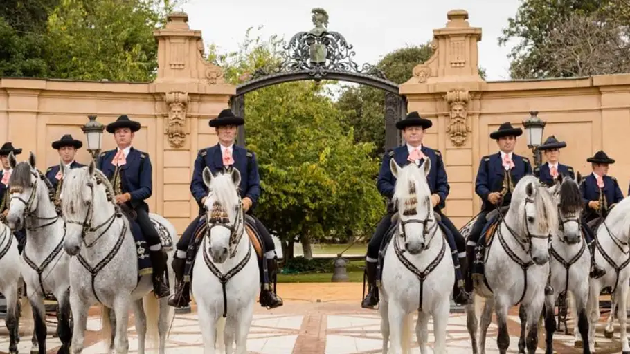 Función de la Real Escuela de Arte Ecuestre de Jerez Todos los detalles de la Real Escuela Andaluza del Arte Cuestre