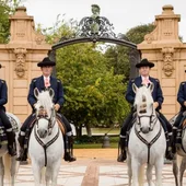 Función de la Real Escuela de Arte Ecuestre de Jerez Función de la Real Escuela de Arte Ecuestre de Jerez