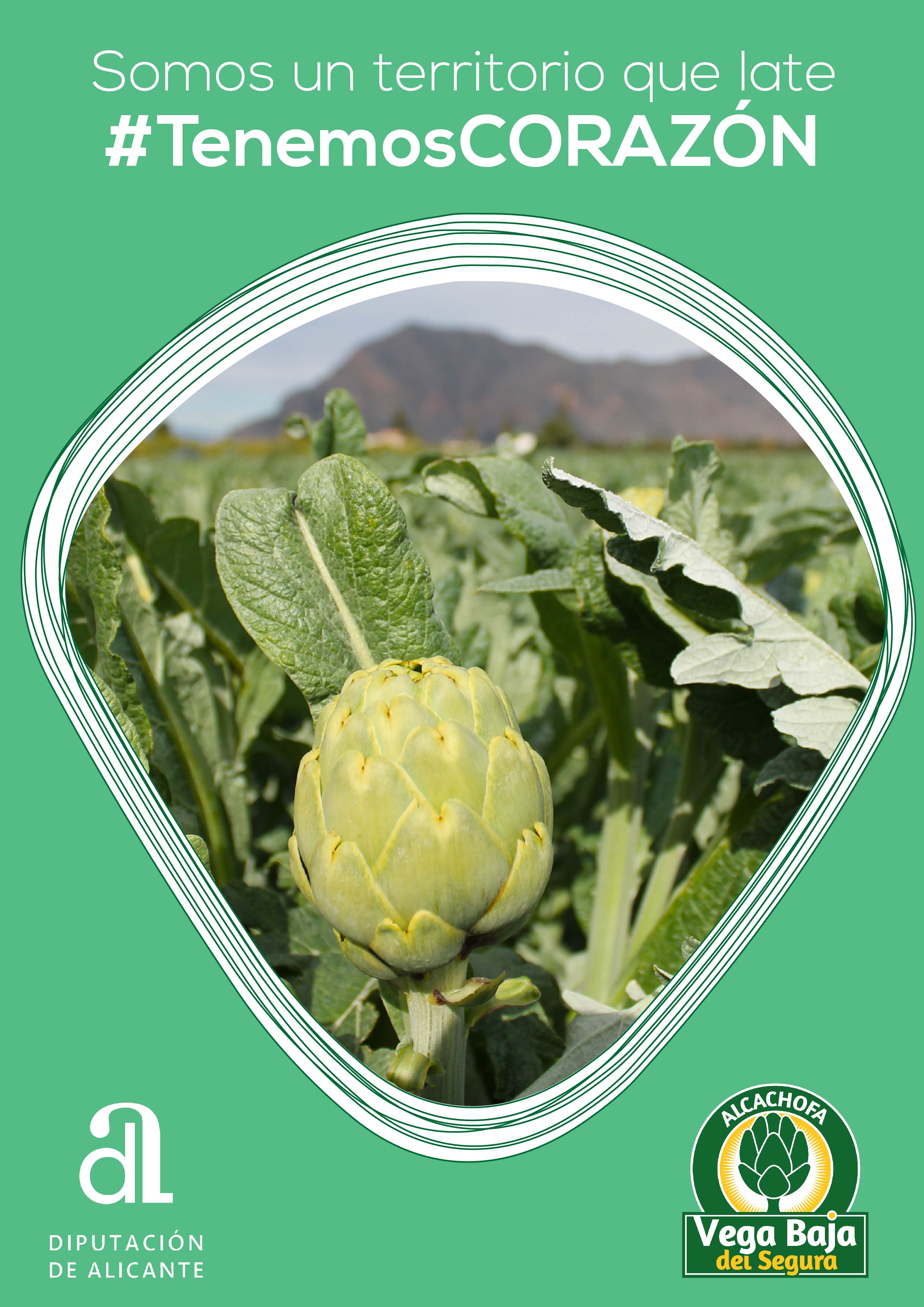 Bajo el lema ‘Tenemos corazón’, la marca de la alcachofa juega con el corazón de la hortaliza, el de las personas que lo hacen posible y el de una comarca que vuelve a latir tras el desastre de la DANA Bajo el lema ‘Tenemos corazón’, la marca de la alcachofa juega con el corazón de la hortaliza, el de las personas que lo hacen posible y el de una comarca que vuelve a latir tras el desastre de la DANA