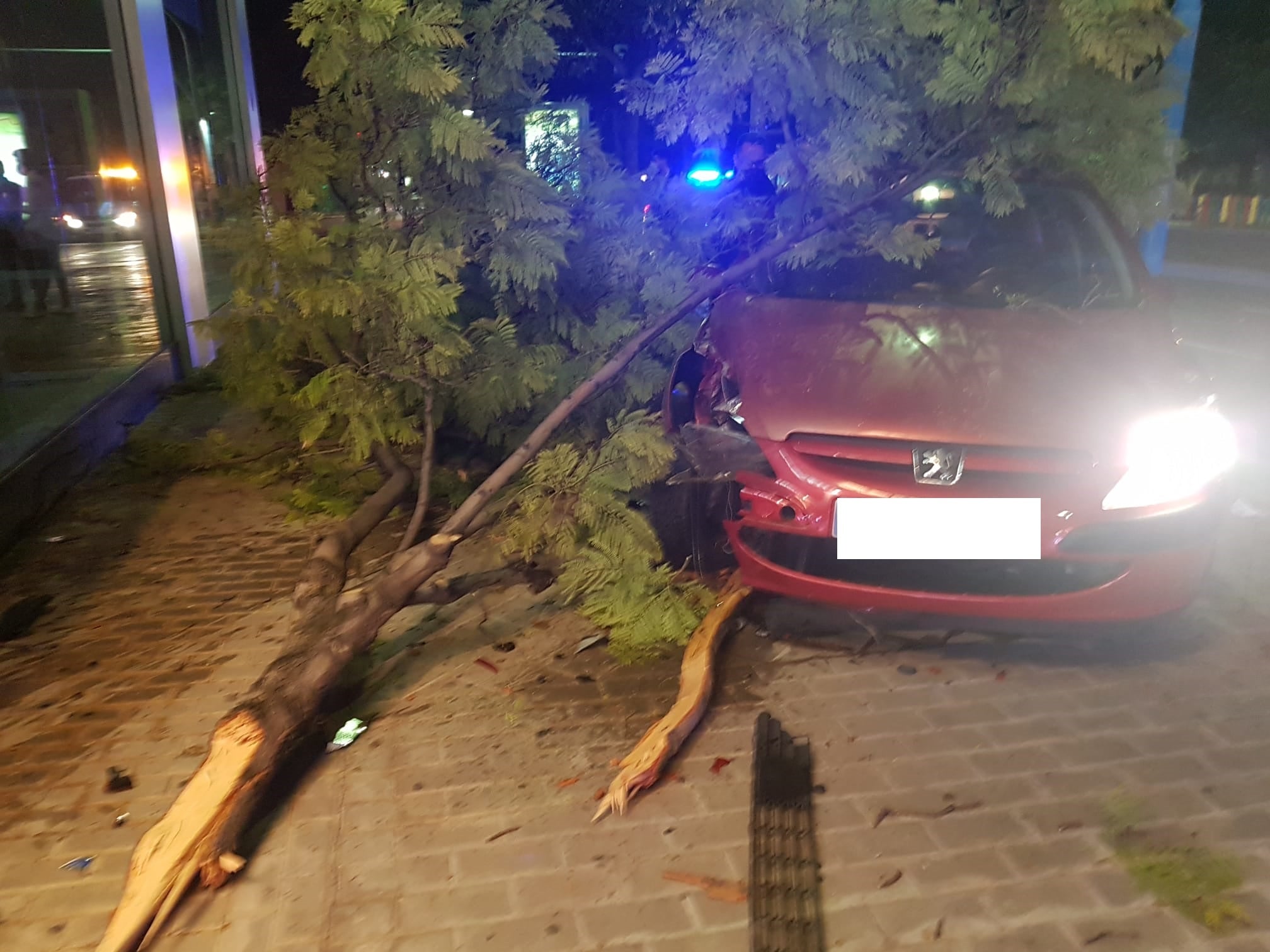 La Policía Local impone setenta y siete denuncias por incumplimientos del estado de alarma La Policía Local impone setenta y siete denuncias por incumplimientos del estado de alarma