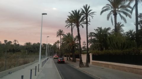 Elche.