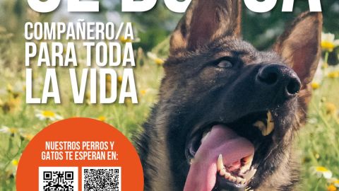 M&aacute;s de Uno C&oacute;rdoba