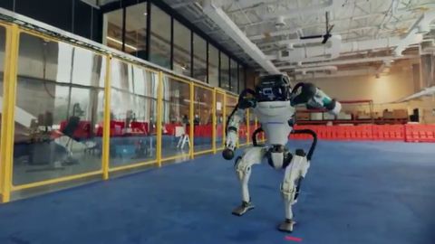 As&iacute; son los robots que bailan mejor que los humanos