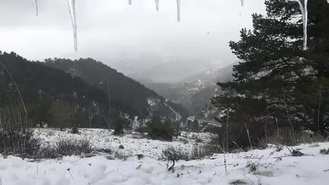 Huélamo (Cuenca), este martes 29 de diciembre Huélamo (Cuenca), este martes 29 de diciembre