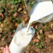 La crisis de los precios hace peligrar el sector lácteo