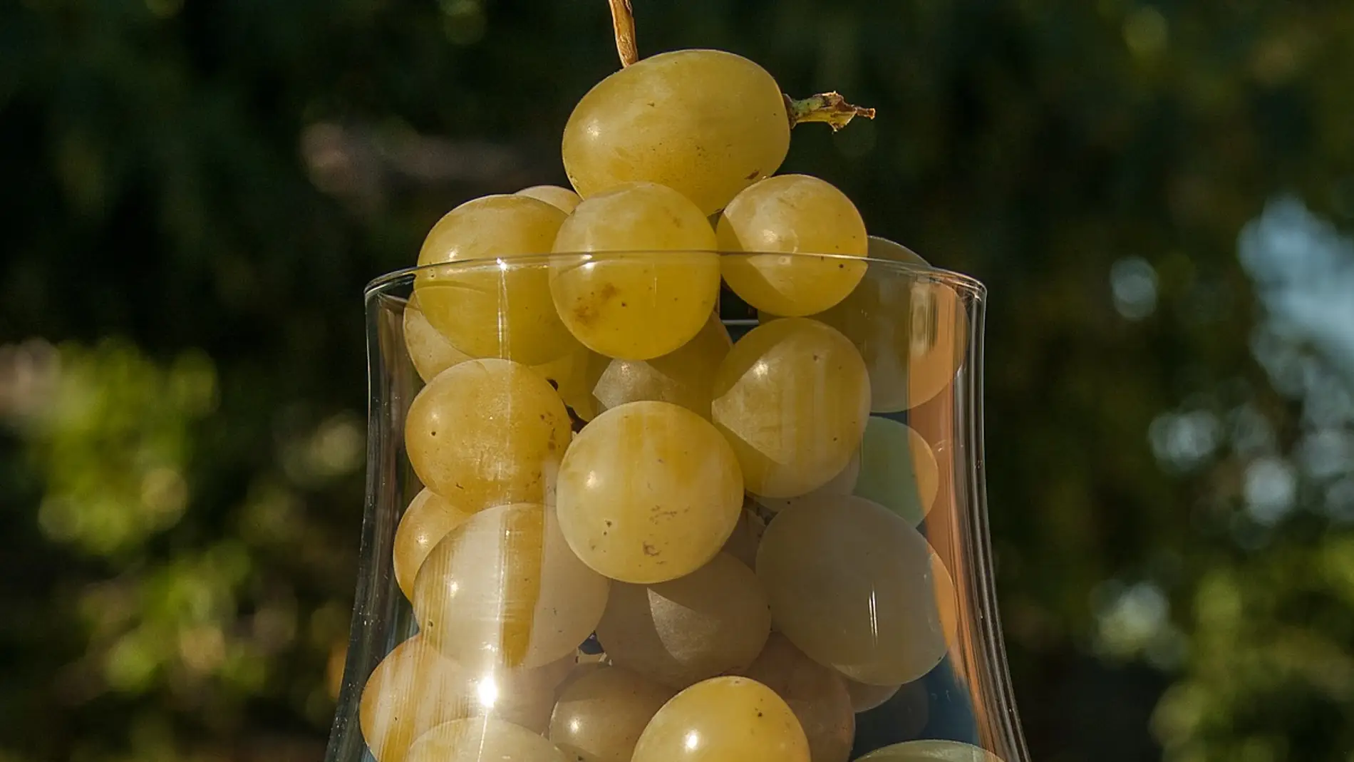 ¿Por qué tomamos 12 uvas para despedir el año?