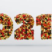 Feliz año nuevo ¡¡¡¡ Descubre cómo es el nuevo año 