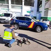 La Policía Aeronáutica se ocupa de que las actividades aeronáuticas privadas y deportivas se desarrollen en condiciones de seguridad La Policía Aeronáutica se ocupa de que las actividades aeronáuticas privadas y deportivas se desarrollen en condiciones de seguridad