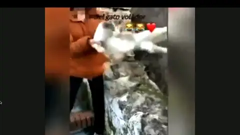 Chica tira a un gato por un barranco Chica tira a un gato por un barranco
