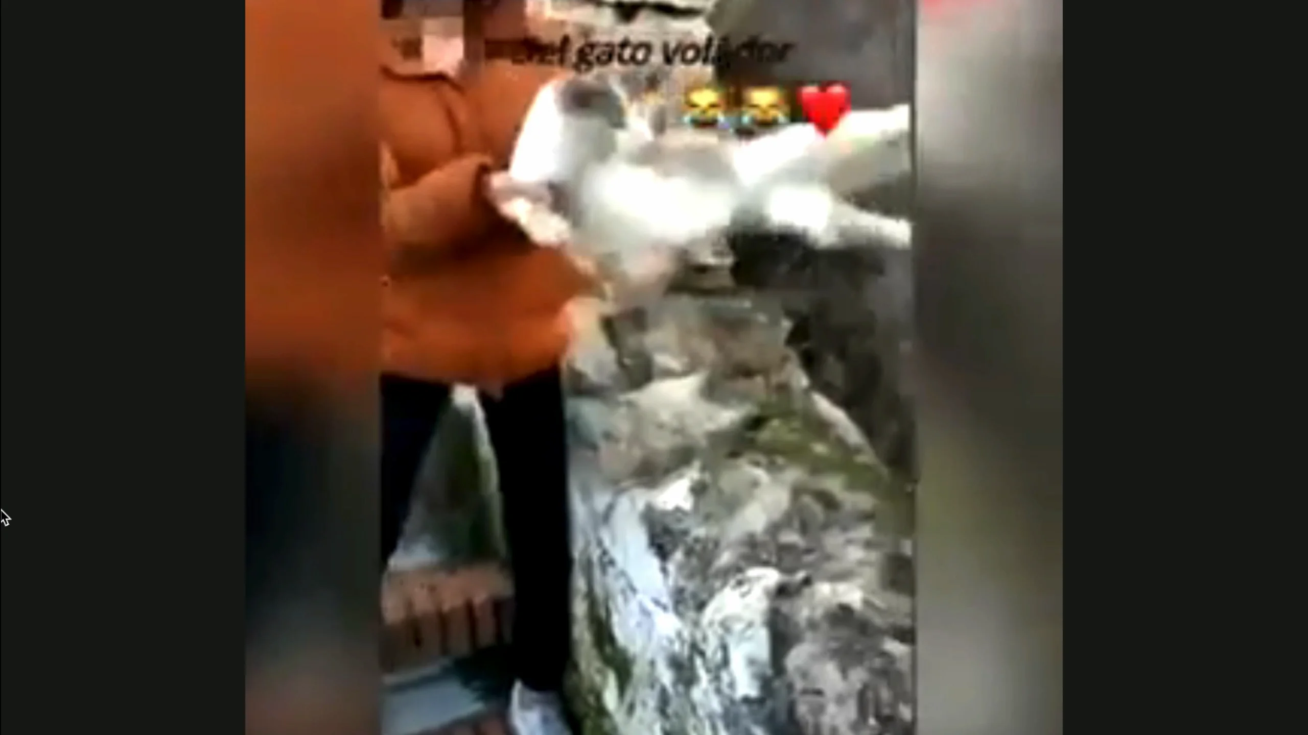 Chica tira a un gato por un barranco