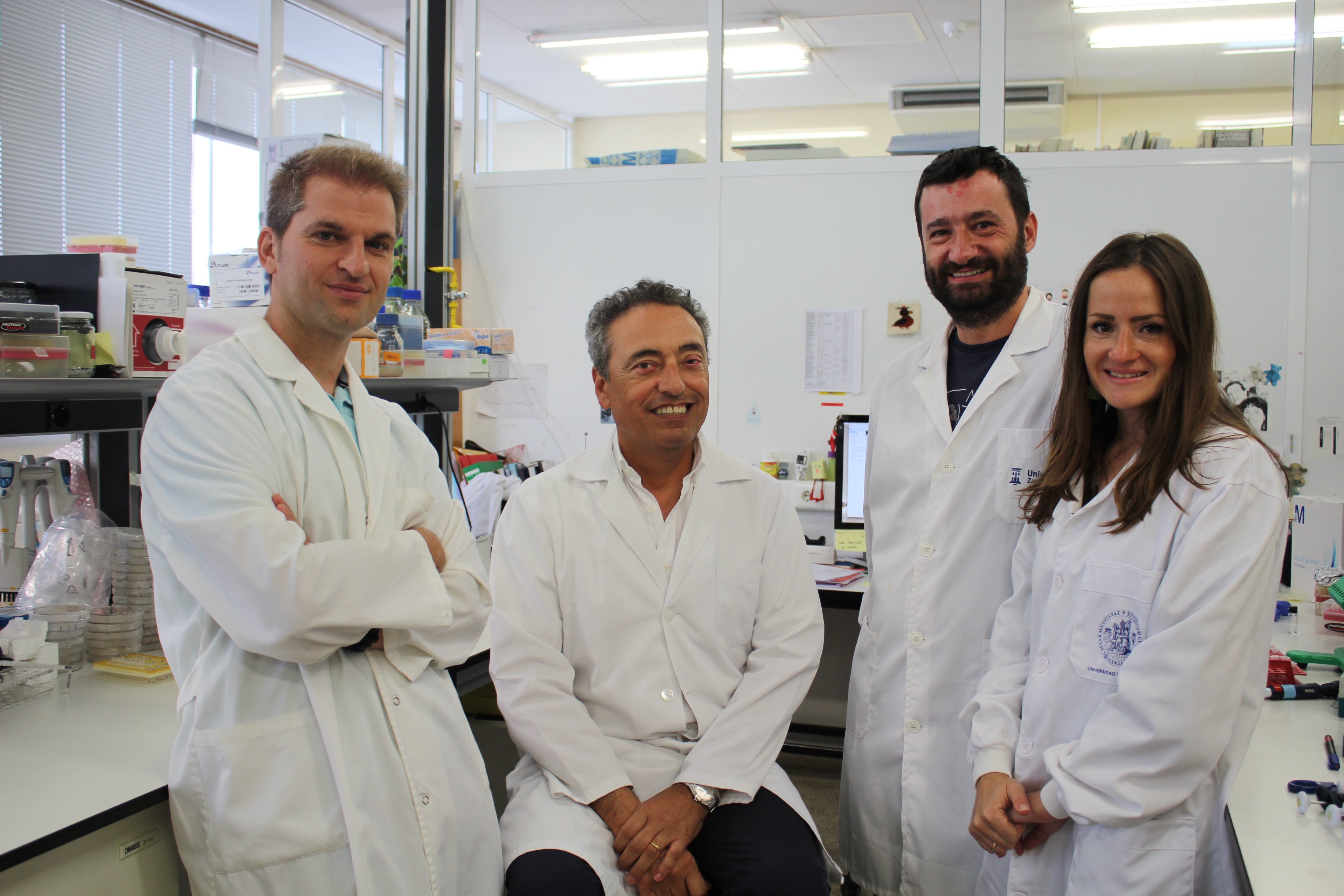 Un estudio de tuberculosis en macacos demuestra que la vacuna diseñada por la Universidad de Zaragoza es más efectiva Un estudio de tuberculosis en macacos demuestra que la vacuna diseñada por la Universidad de Zaragoza es más efectiva