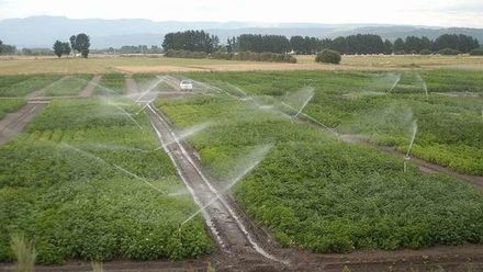 A Xunta senta as primeiras bases para a elaboración do Plan Estratéxico do sector agrario da Limia A Xunta senta as primeiras bases para a elaboración do Plan Estratéxico do sector agrario da Limia